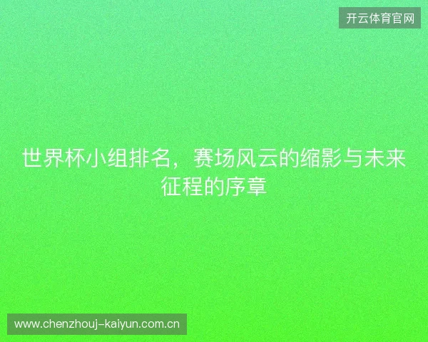 世界杯小组排名，赛场风云的缩影与未来征程的序章